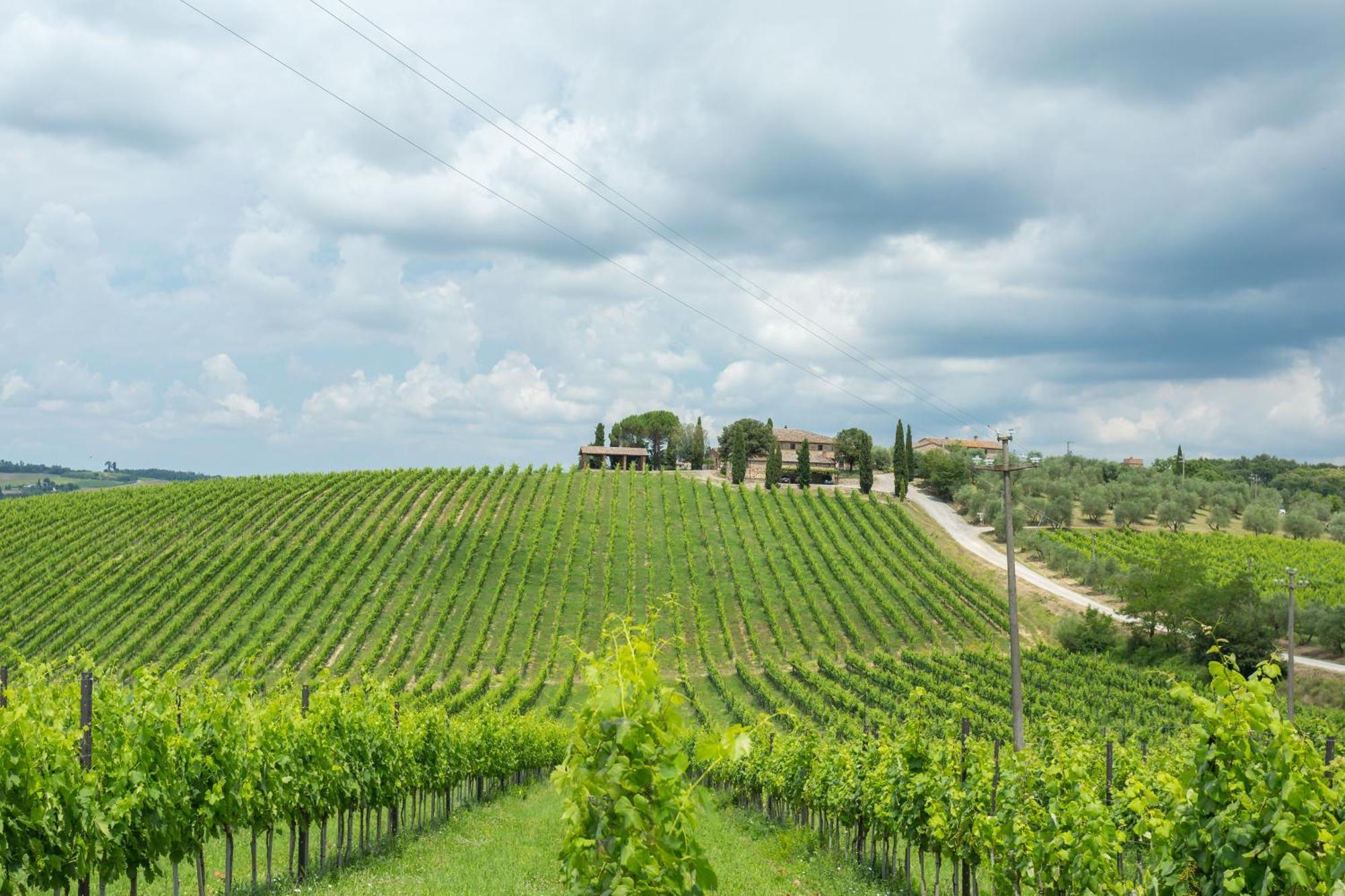 Tenuta Di Monaciano Ponte A Bozzone Quarto foto