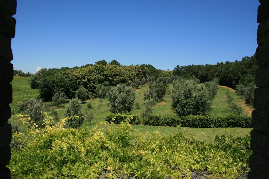 Tenuta Di Monaciano Ponte A Bozzone Quarto foto